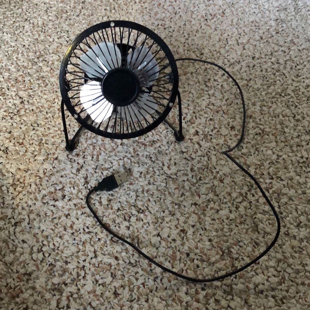 Fan